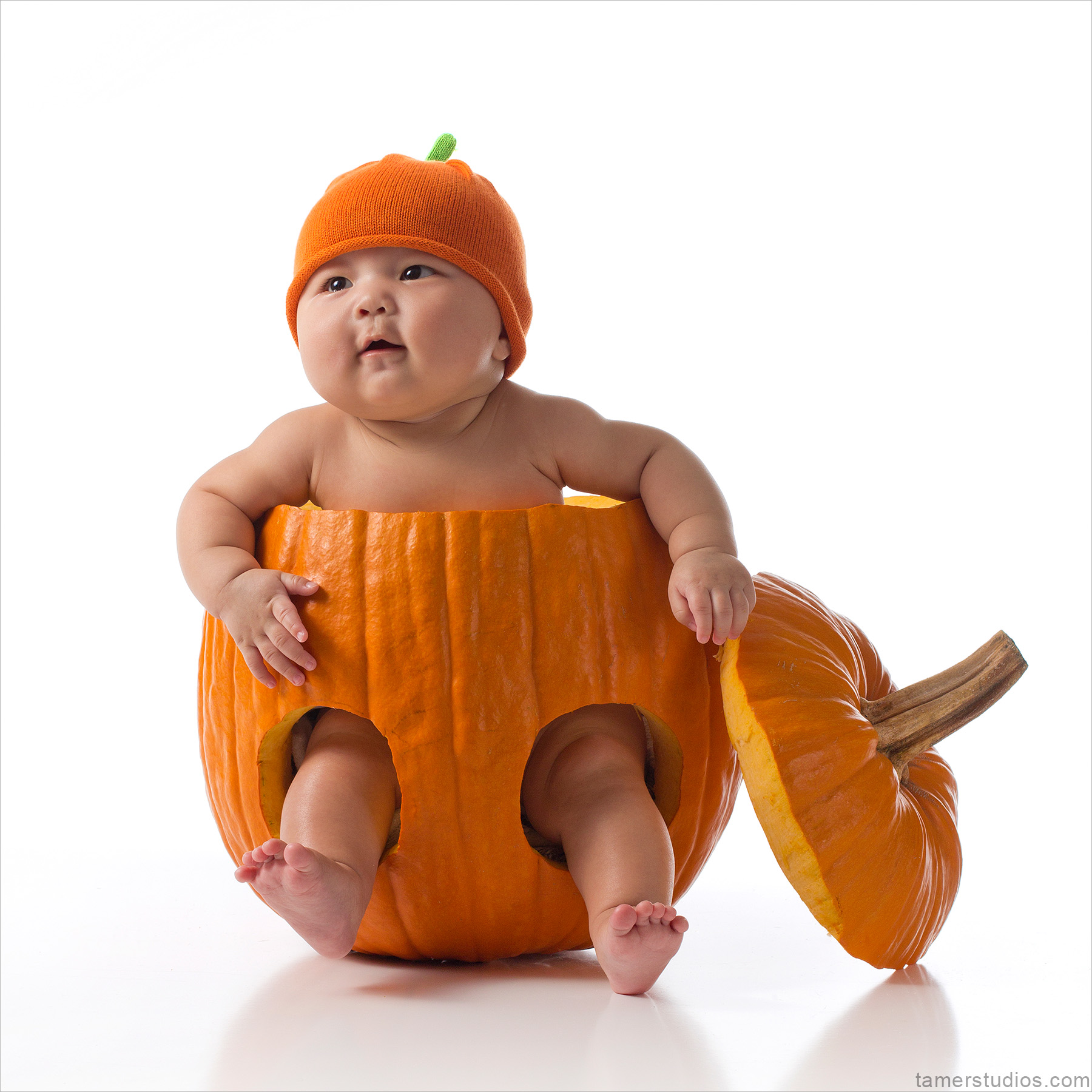 Pumpkin Cutie